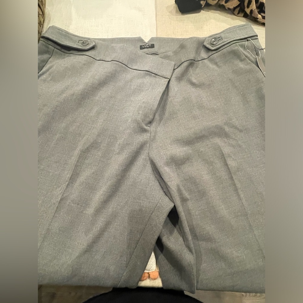 Plus size grey trousers brand new